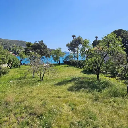 Guest house Babilon
